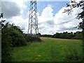 Grazing and pylon, Moore in WA4 6UA