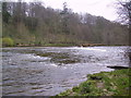 River Eden at Wetheral in CA4 8FE