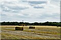 Reepham: Collecting the baled straw from a harvested cereal crop in NR10 4RG