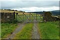 Gate across the track in G63 9RG