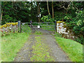 Gate into Quarry Wood in G63 9RG