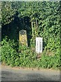 Old Boundary Markers east of Hinton Cross, Mudford in BA22 8BB