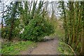 Gloucester : Tuffley - Track in GL4 0DQ