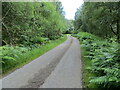 Tree and bracken enclosed minor road near Loch Bran in IV2 6YS