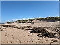Dunes at Lossiemouth in IV31 6JJ