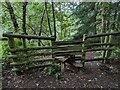 Footpath stile in Park Banks woodland in ST10 4AX