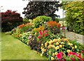 Colourful mixed flower bed in G63 9PB