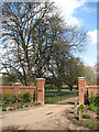 Gate and daffodil-lined driveway in NR10 4NZ