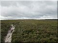 Bridle  path  over  the  heather  moorland  to  Simon  Howe in YO22 5AW