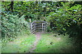 Kissing gate near ford in SA72 6PN