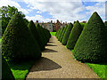 Yew avenue, Littlecote House in RG17 0SU