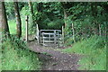 Kissing gate in woodland, Bush in SA72 6PN