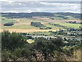 View across the Tay in PH2 8QJ