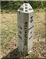 Old Milestone (west face) by the B1145, Elmham Road, Billingford in NR20 5HN