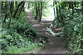 Footbridge over tributary of Pembroke River in SA72 6PN