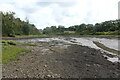 Pembroke River at low tide in SA72 6PN
