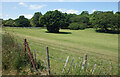Grassland at Mount Browne in GU3 1LD
