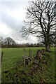 Stile on the path from Eden Place to Winton in CA17 4RX