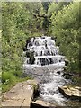 Nant yr Allor cascading over rocks in SA13 3AY