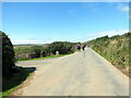 Cerddwyr yn dilyn heol fach / Walkers following a minor road in SA64 0LX