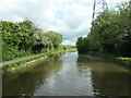 Shropshire Union canal between bridges 130 and 129 in CH1 5UA