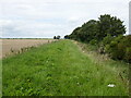 Bridleway on an old sea bank in PE12 8HD