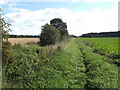 Path from Redbourne towards River Head in DN21 4QP
