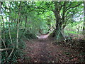 Llwybr i Waun Ffynhonnau / Path to Waun Ffynhonnau in SA17 4AB