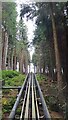 Ascending the Forest Coaster in LL24 0HE