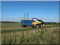 Harvest in progress near Beauchamp's Wood in SG9 0FA