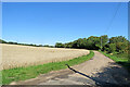 Little Walden: a wheatfield by Petts Lane in CB10 1XF