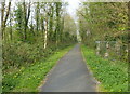 Cycleway and path at Y Felinheli in LL56 4QN