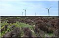 Wind Turbines on Thornton Moor in BD22 9SP