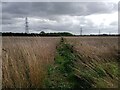 Footpath leading to South Hykeham, North Hykeham in LN6 8JU