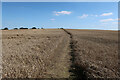 Hertfordshire Way through a wheat field in SG9 0LX