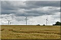 Emberton: Wheat field and wind farm in MK46 5JN