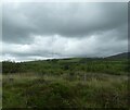 Moorland south of Graianog Crossing in LL54 6TA