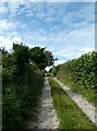 Looking north-northwest up the unmade road in SO20 8DS