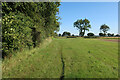 Permissive path by Great Hormead Park in SG9 0NU