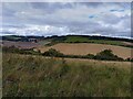Conholt Bottom and Fosbury Camp Hillfort in SP11 9HD