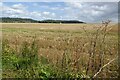 Harvested field in WR10 3LA
