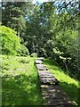 Boardwalk in Tarn Gill Wood in BD23 6DE