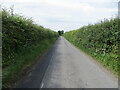 Hedge enclosed minor road near Burnt Hill in CA6 6BZ