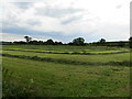 Mown hay field awaiting baling near Kirklinton in CA6 6DB