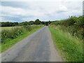Hedge-lined minor road between Horsegills and Hallfoot in CA6 6DS