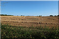 Harvested field by Sparksfield in SG9 0NN