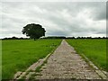 Concrete road across a field in CW11 1RZ