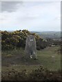 Trig Point on Brimmond Hill in AB21 9TB