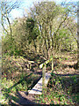 Footbridge near Horton Wood in BN5 9XJ