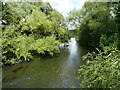 The River Great Ouse at Turvey bridge in MK43 8ER